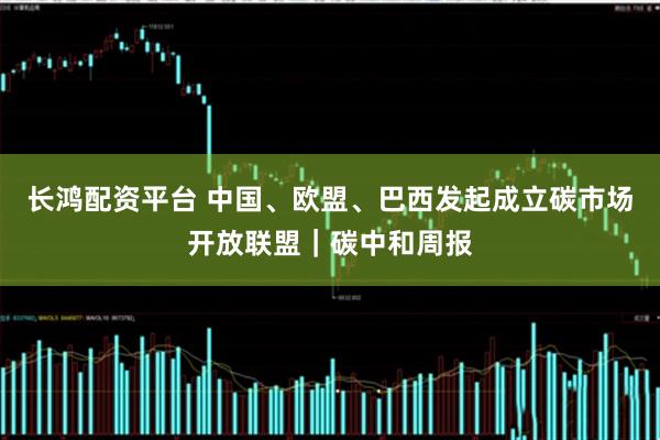 长鸿配资平台 中国、欧盟、巴西发起成立碳市场开放联盟｜碳中和周报