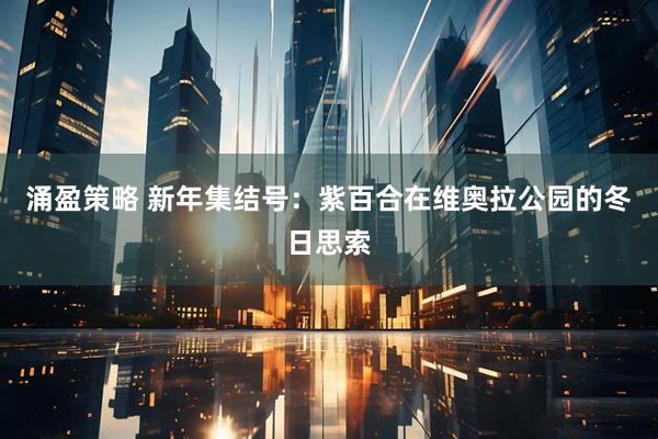 涌盈策略 新年集结号：紫百合在维奥拉公园的冬日思索