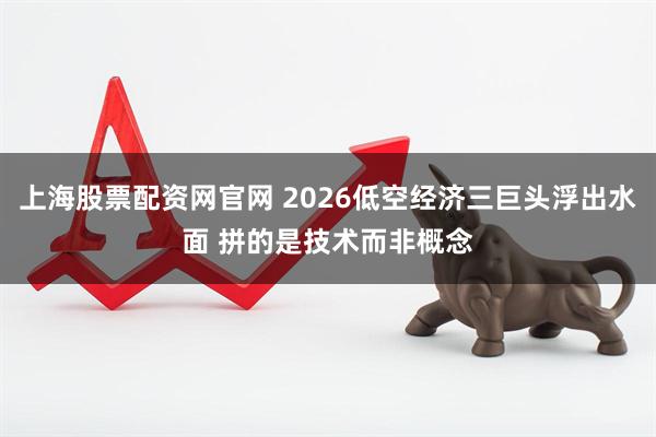 上海股票配资网官网 2026低空经济三巨头浮出水面 拼的是技术而非概念